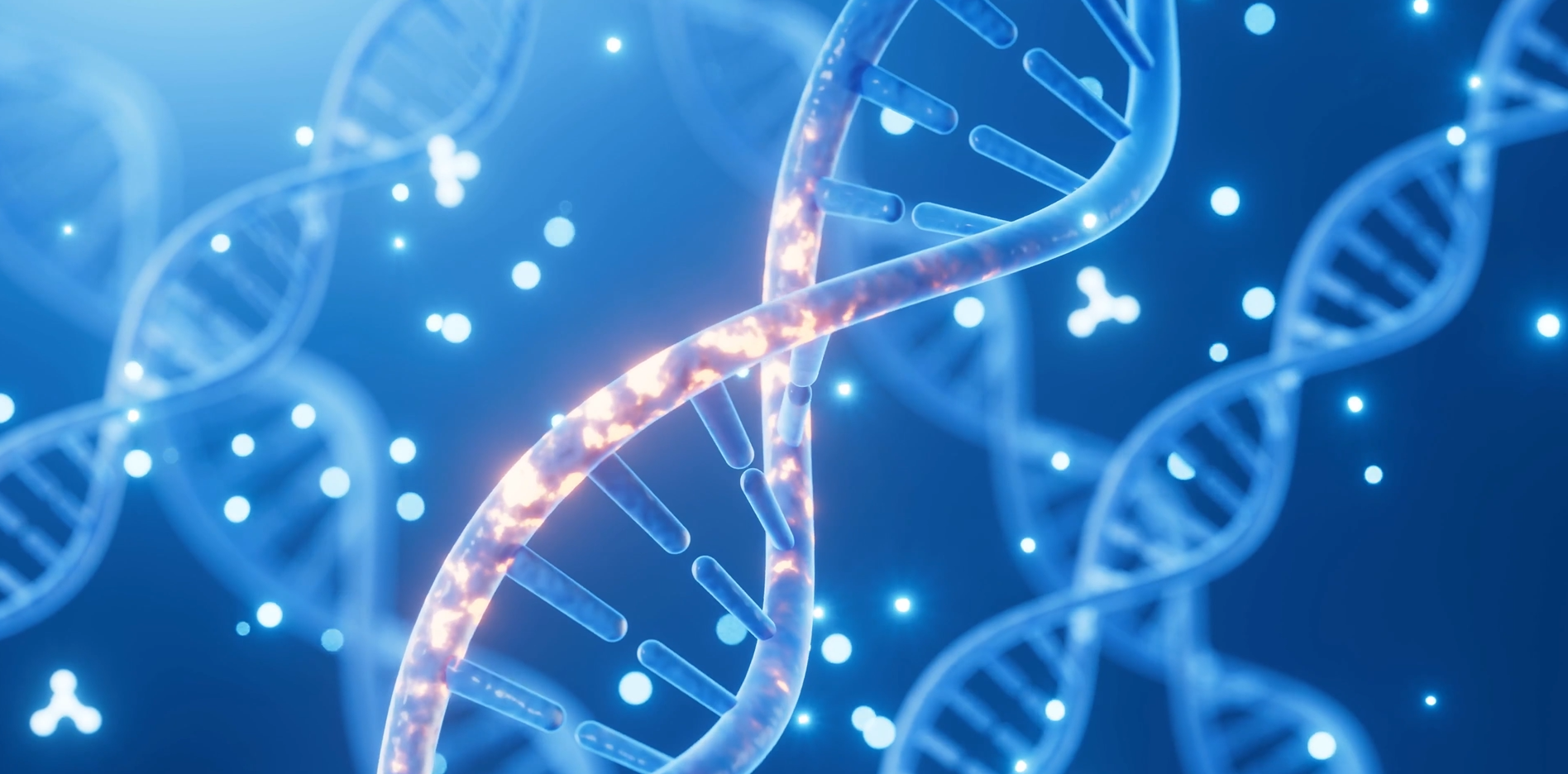 Genomics Interface 2