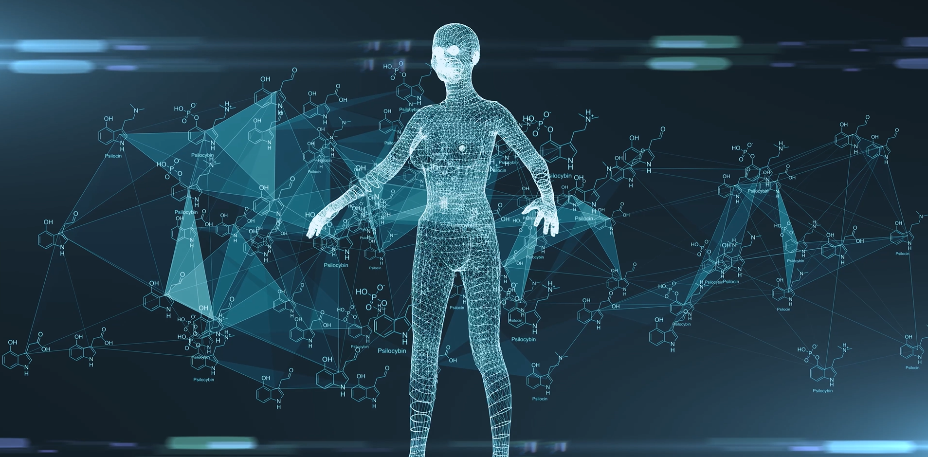 Metabolomics Interface 2