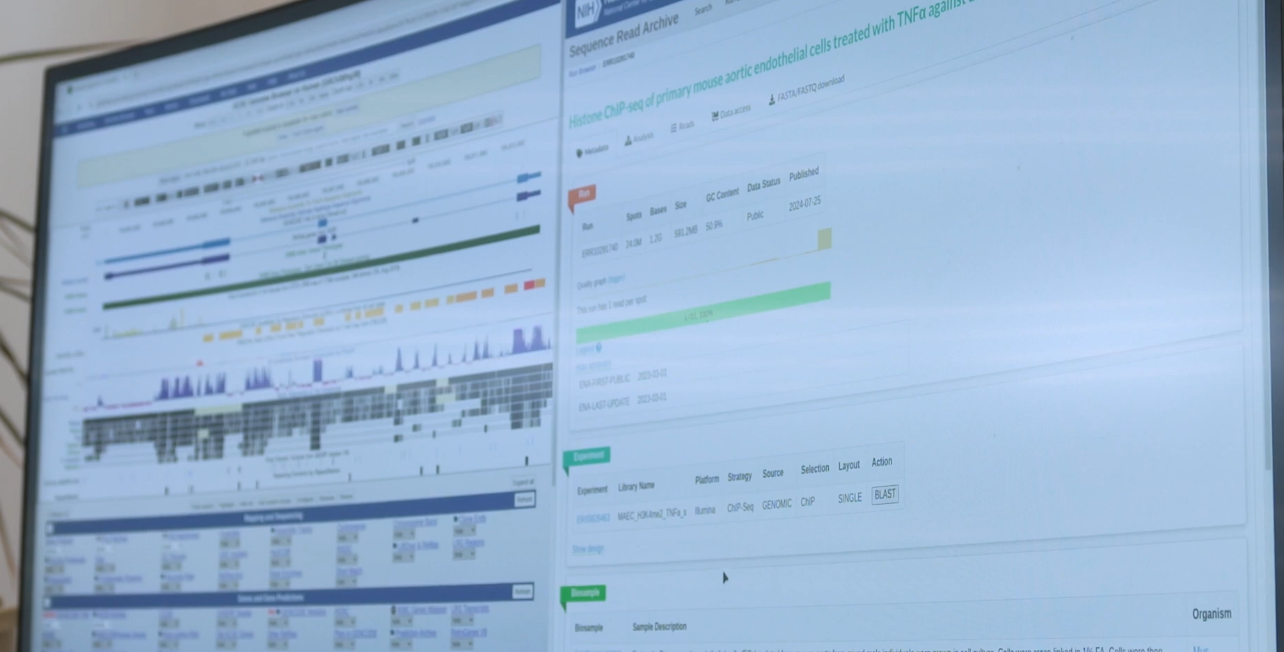Transcriptomics Interface 2